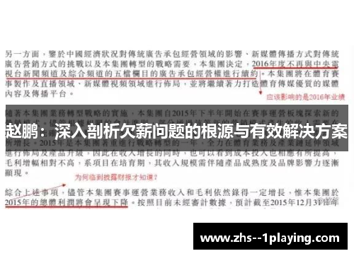 赵鹏:深入剖析欠薪问题的根源与有效解决方案 赵鹏:深入剖析欠薪问题的根源与有效解决方案