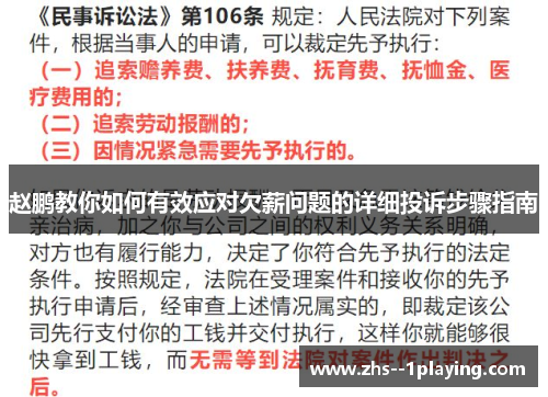 赵鹏教你如何有效应对欠薪问题的详细投诉步骤指南
